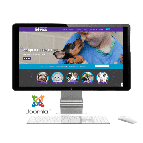 joomla example