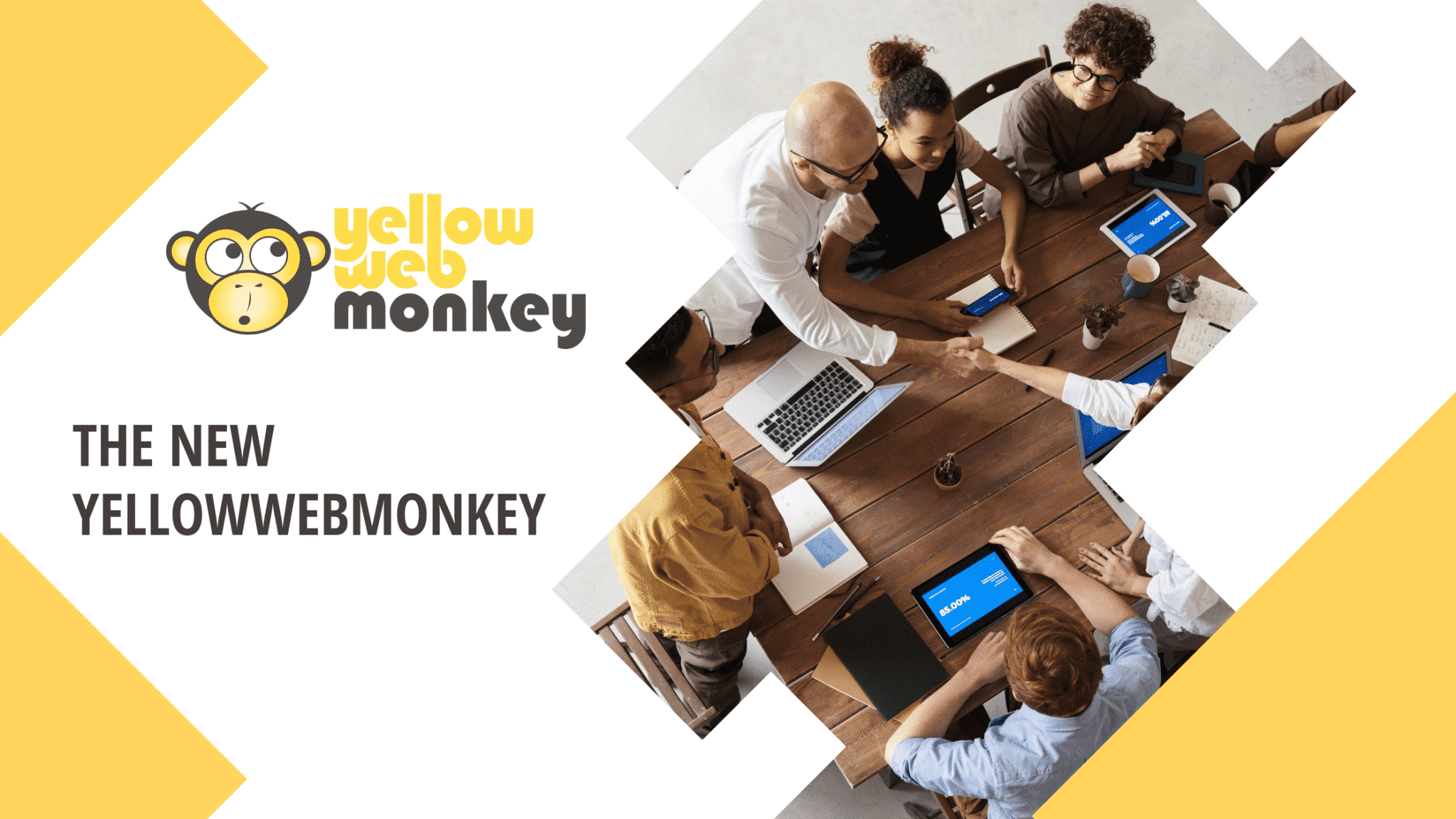 The New YellowWebMonkey