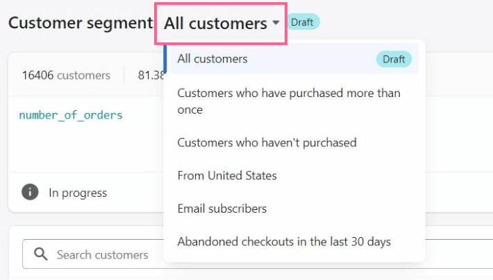 customer segment